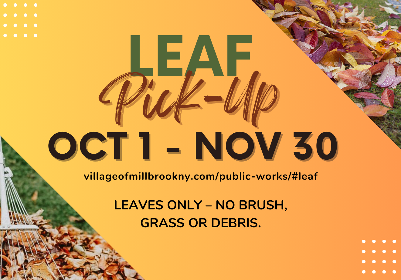 Leaf-Pick-Up