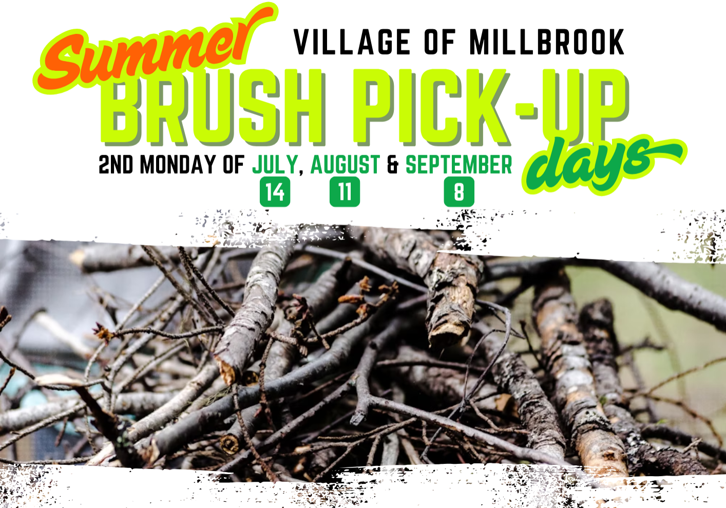 Summer Brush Pick-Up 2025