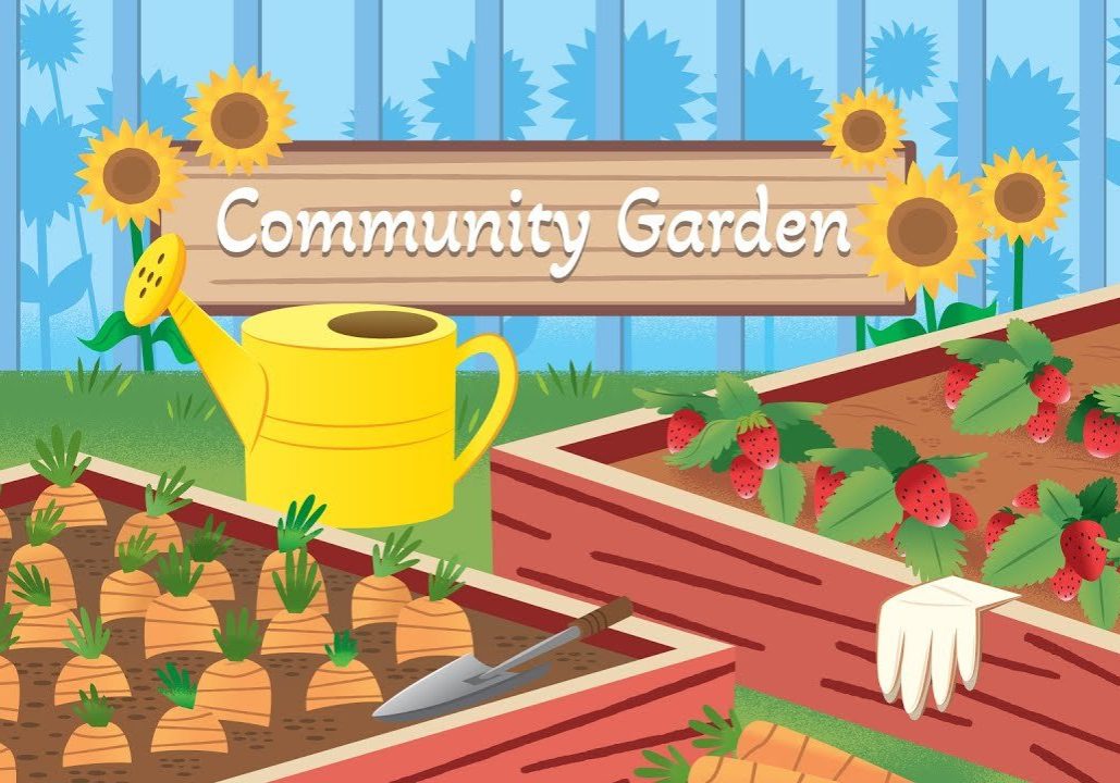 community-garden