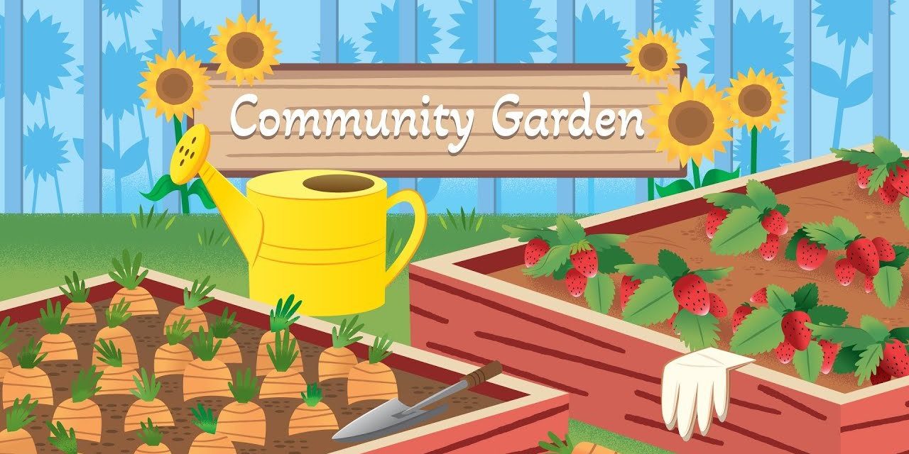 community-garden