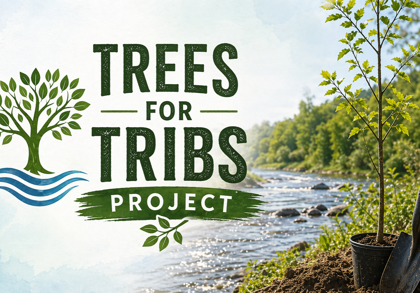 trees for tribs project